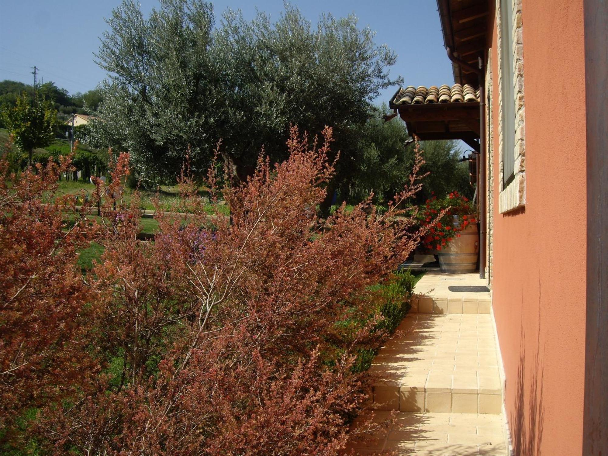 Agriturismo Il Borgo Degli Ulivi Roseto Degli Abruzzi Exterior photo