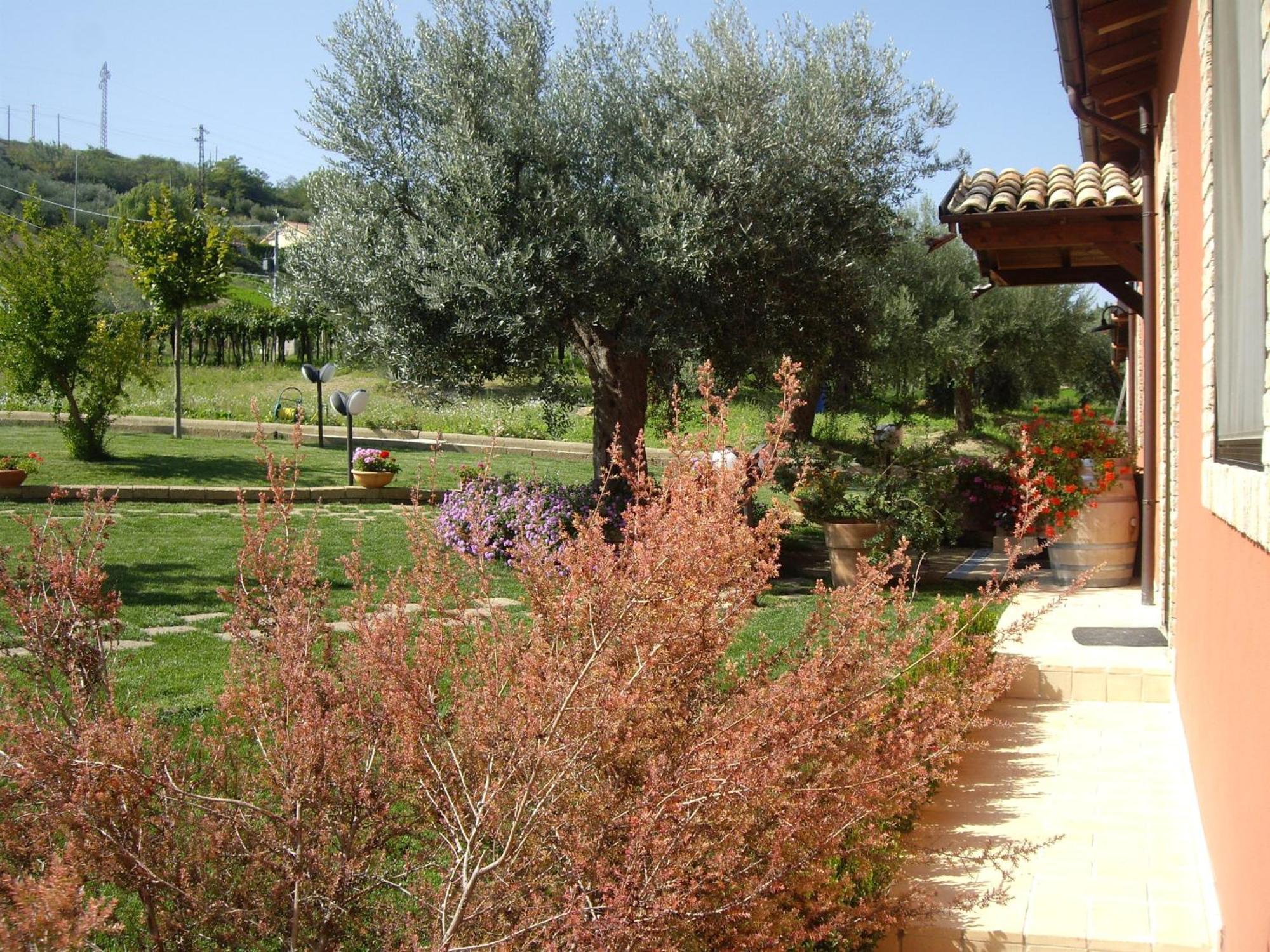 Agriturismo Il Borgo Degli Ulivi Roseto Degli Abruzzi Exterior photo