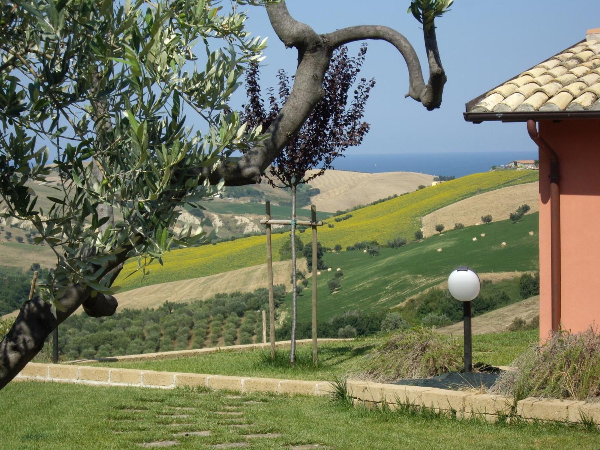Agriturismo Il Borgo Degli Ulivi Roseto Degli Abruzzi Exterior photo